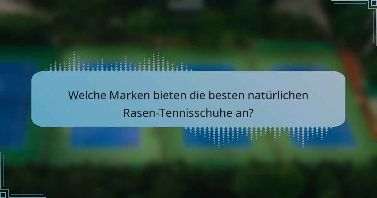 Welche Marken bieten die besten natürlichen Rasen-Tennisschuhe an?