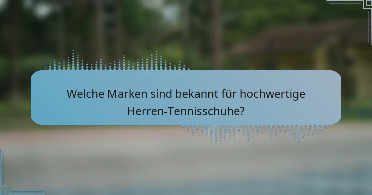Welche Marken sind bekannt für hochwertige Herren-Tennisschuhe?